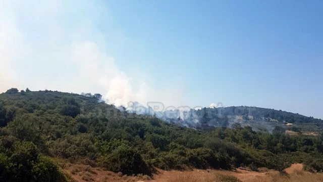 Συναγερμός για φωτιά στην Αταλάντη (βίντεο)